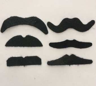 Bigotes Fiesta Bigotes Fiesta